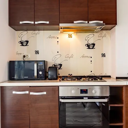 Ring Apartment Timisoara