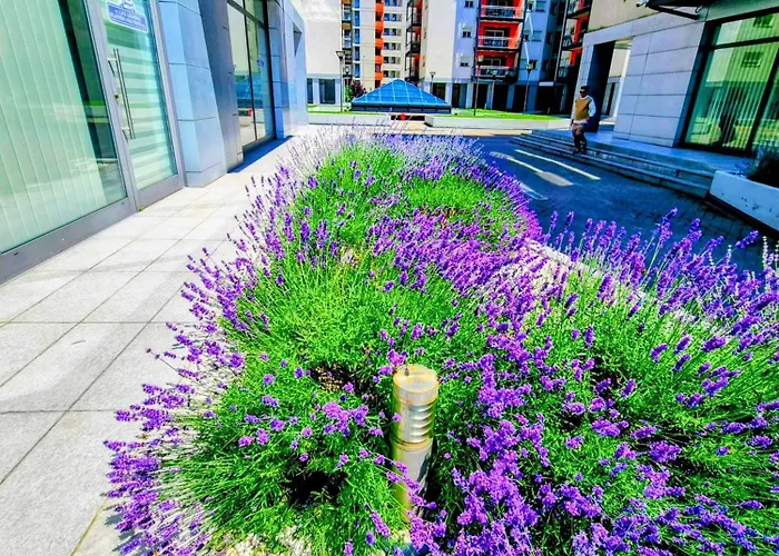 Ring Apartment Timisoara