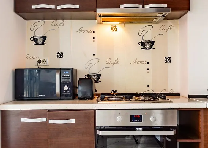 Ring Apartment Timisoara